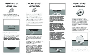 Geological History of Quartz Mountain State Park